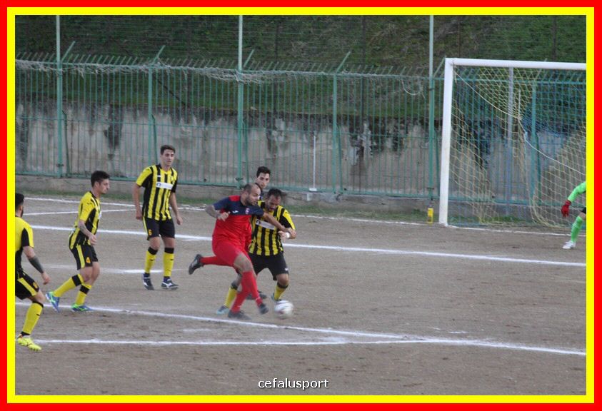 181111 Cepha_Milazzo 185_tn.JPG